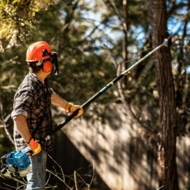 Pole Pruners