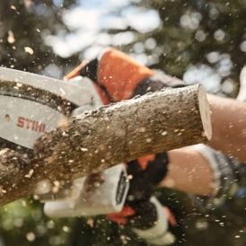 Mini Pruners and Shears