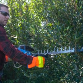 Hedge Trimmers