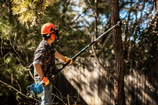 Pole Pruners