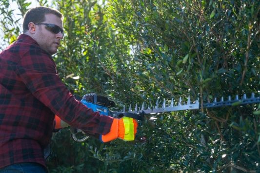 Hedge Trimmers